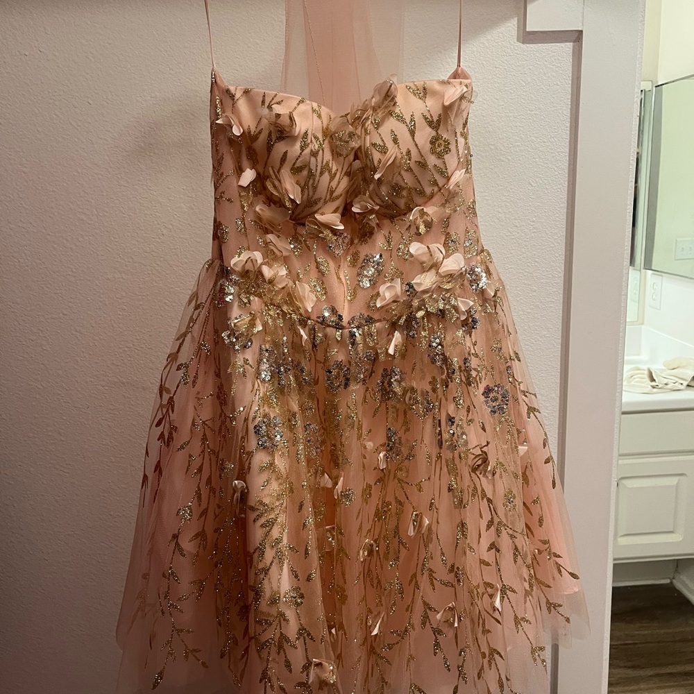 Chic Pink and Gold Embellished Dress